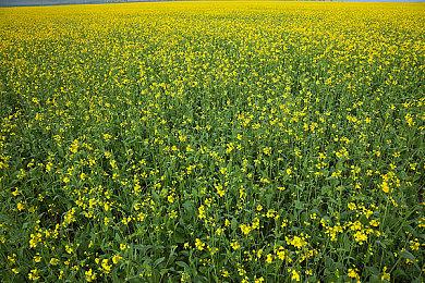 《原子之心》详细PC配置公布 推荐2070S、硬盘90G